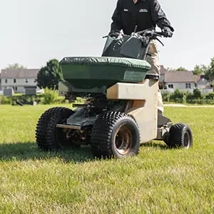 landscaping-fresh-cut-pros