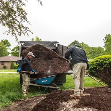 landscaping services